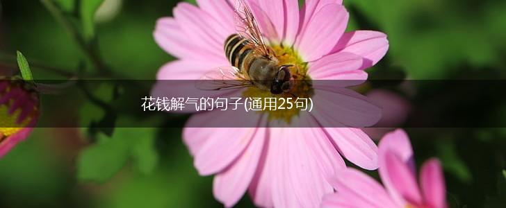 花钱解气的句子(通用25句),第1张