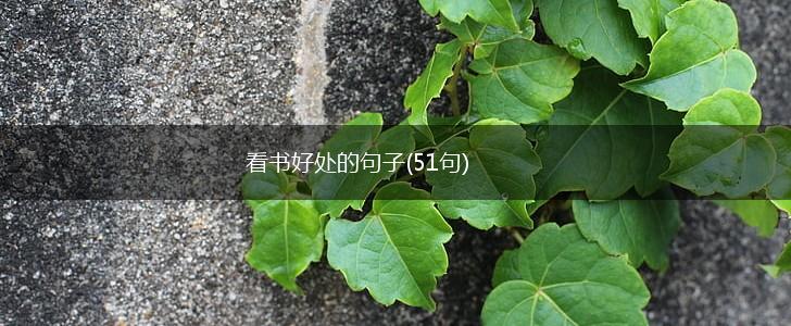 看书好处的句子(51句),第1张