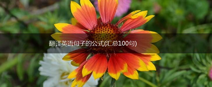 翻译英语句子的公式(汇总100句),第1张
