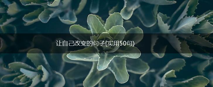 让自己改变的句子(实用50句),第1张