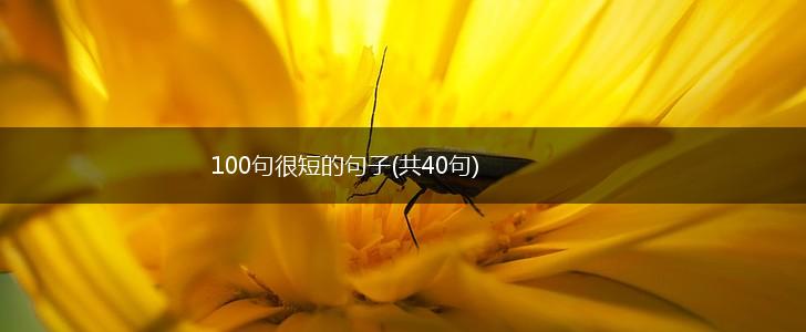 100句很短的句子(共40句),第1张