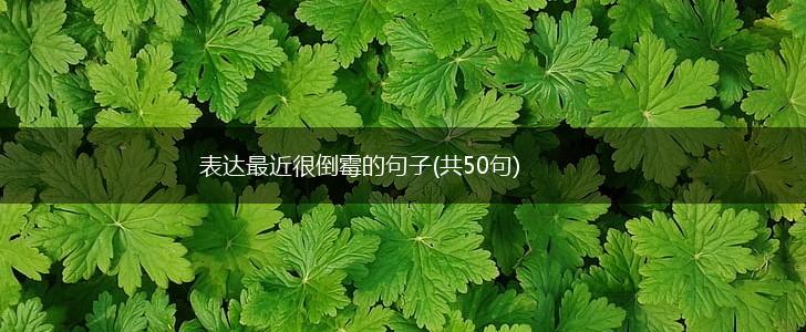 表达最近很倒霉的句子(共50句),第1张