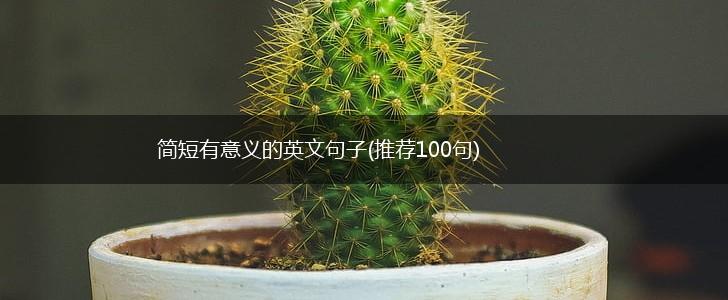 简短有意义的英文句子(推荐100句),第1张