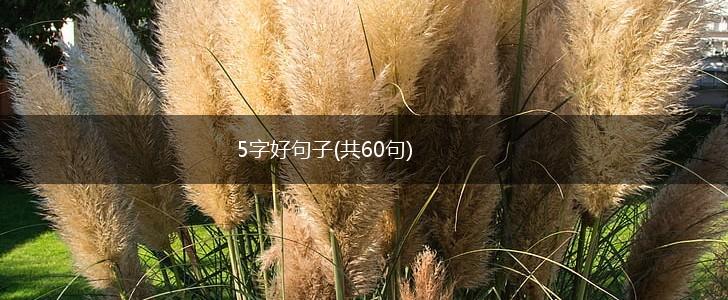 5字好句子(共60句),第1张