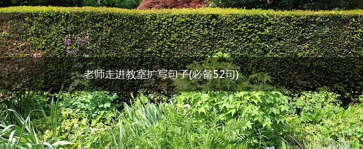 老师走进教室扩写句子(必备52句),第1张