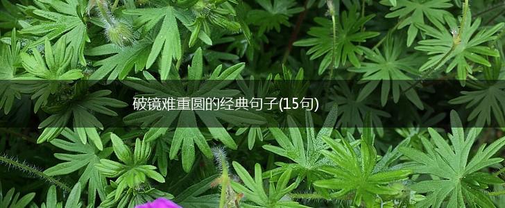 破镜难重圆的经典句子(15句),第1张
