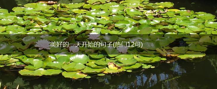 美好的一天开始的句子(热门12句),第1张