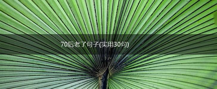 70后老了句子(实用30句),第1张