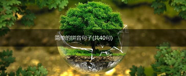 简单的拼音句子(共40句),第1张
