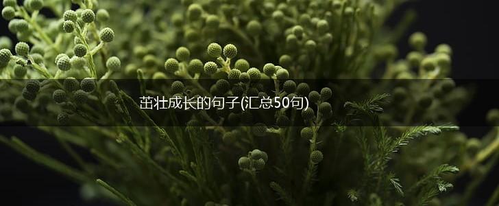 茁壮成长的句子(汇总50句),第1张