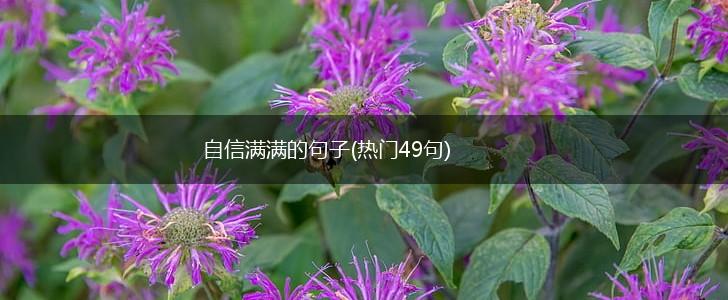 自信满满的句子(热门49句),第1张