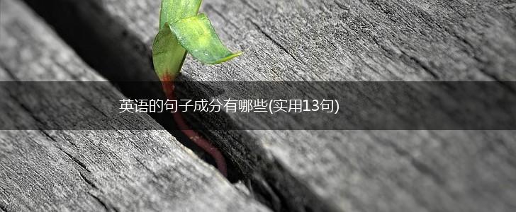英语的句子成分有哪些(实用13句),第1张
