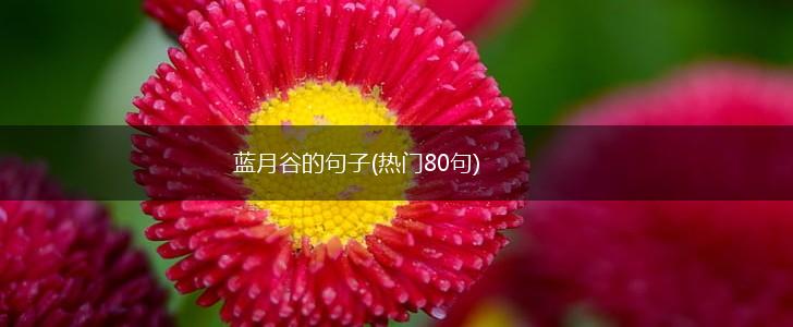 蓝月谷的句子(热门80句),第1张