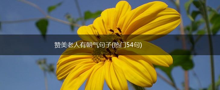赞美老人有朝气句子(热门54句),第1张