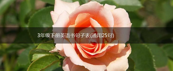 3年级下册英语书句子表(通用25句),第1张