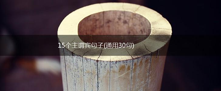 15个主谓宾句子(通用30句),第1张