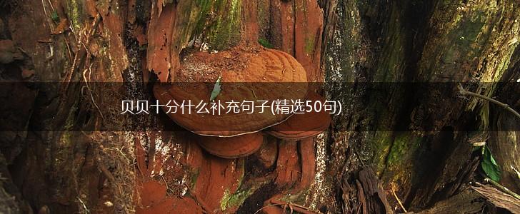 贝贝十分什么补充句子(精选50句),第1张
