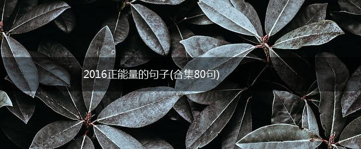 2016正能量的句子(合集80句),第1张
