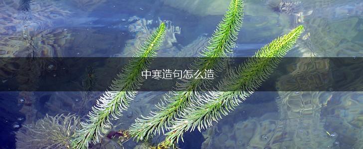 中寒造句怎么造,第1张
