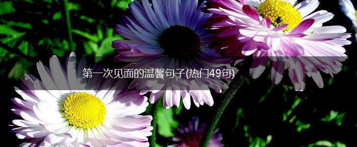 第一次见面的温馨句子(热门49句),第1张