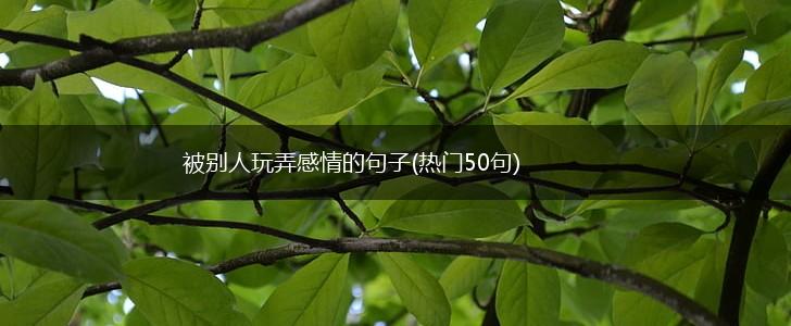被别人玩弄感情的句子(热门50句),第1张
