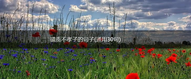 谴责不孝子的句子(通用30句),第1张