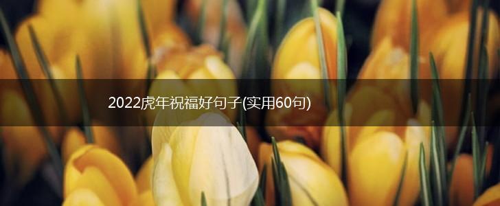 2022虎年祝福好句子(实用60句),第1张