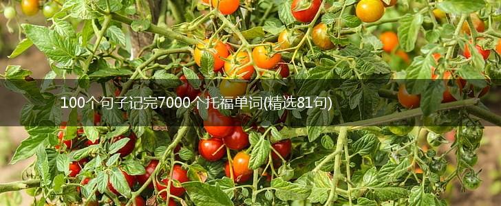 100个句子记完7000个托福单词(精选81句),第1张