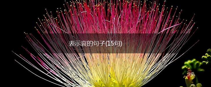 表示哀的句子(15句),第1张