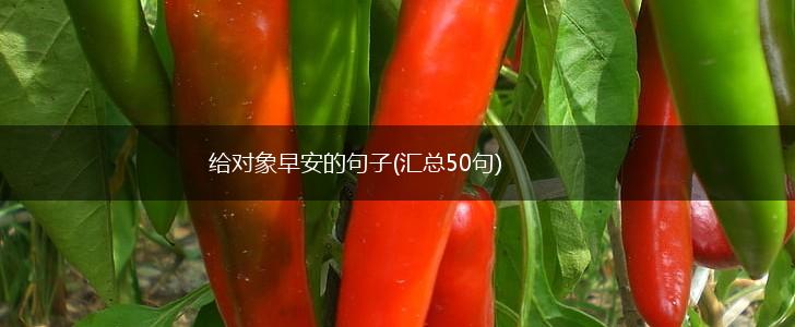 给对象早安的句子(汇总50句),第1张