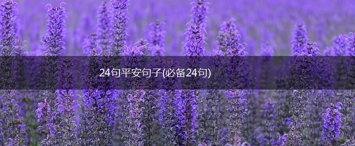 24句平安句子(必备24句),第1张