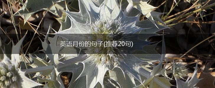 英语月份的句子(推荐20句),第1张