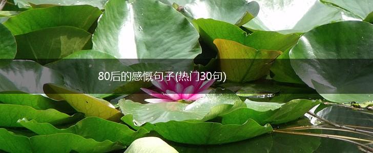 80后的感慨句子(热门30句),第1张
