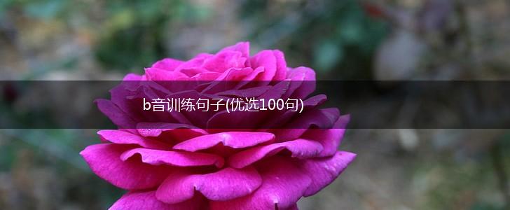 b音训练句子(优选100句),第1张
