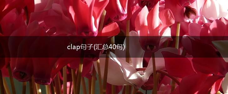 clap句子(汇总40句),第1张