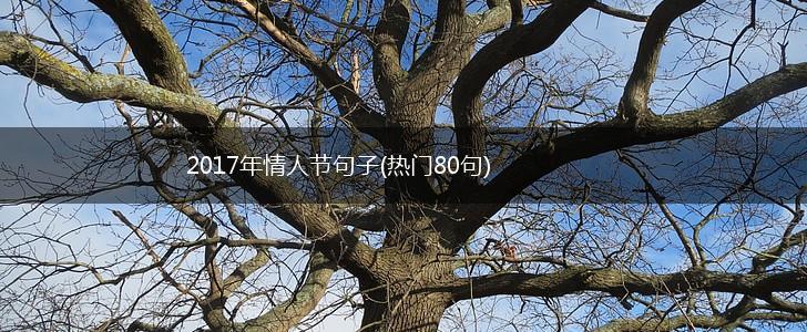 2017年情人节句子(热门80句),第1张