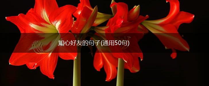 知心好友的句子(通用50句),第1张