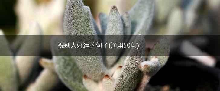 祝别人好运的句子(通用50句),第1张