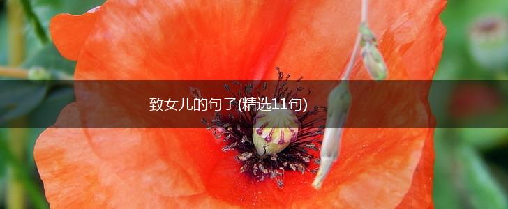 致女儿的句子(精选11句),第1张
