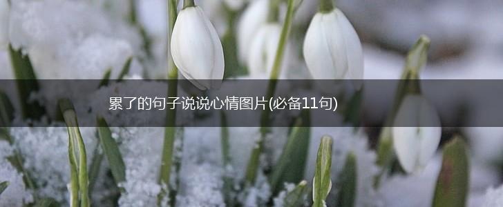 累了的句子说说心情图片(必备11句),第1张