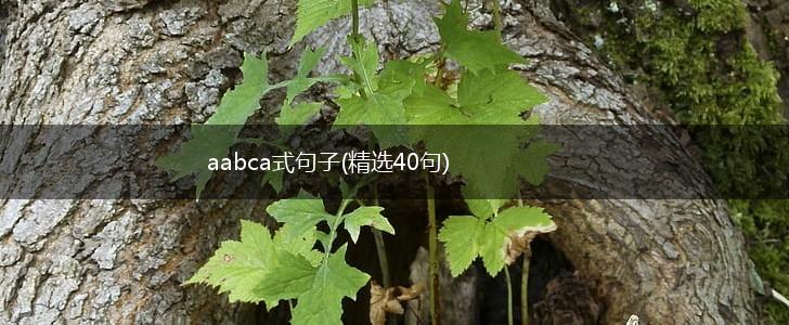 aabca式句子(精选40句),第1张