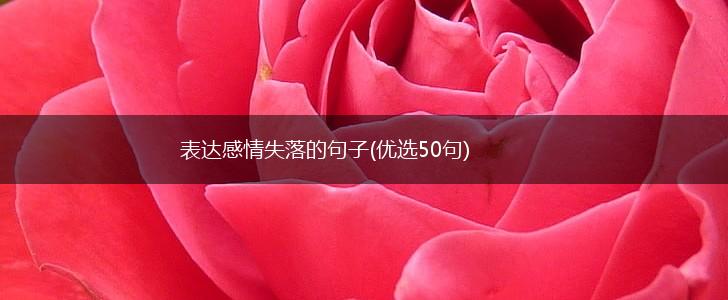 表达感情失落的句子(优选50句),第1张