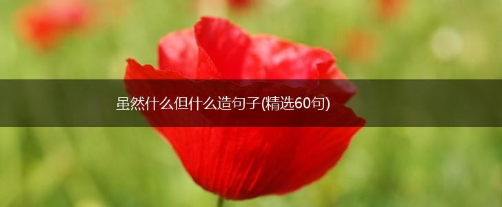 虽然什么但什么造句子(精选60句),第1张