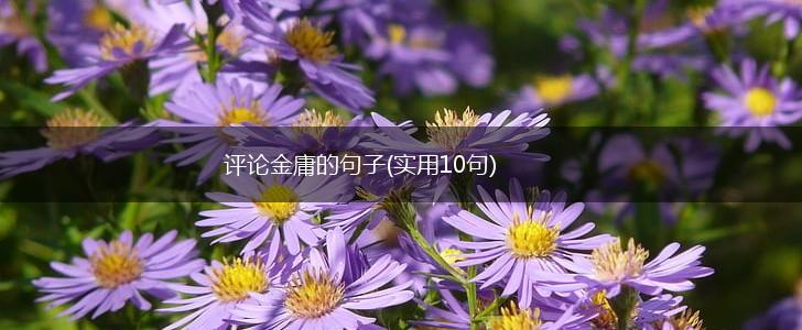 评论金庸的句子(实用10句),第1张