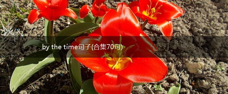by the time句子(合集70句),第1张