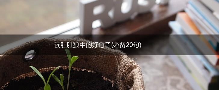 读肚肚狼中的好句子(必备20句),第1张