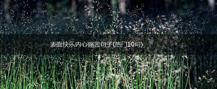 表面快乐内心痛苦句子(热门10句),第1张