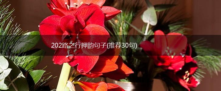 202路之行押韵句子(推荐30句),第1张