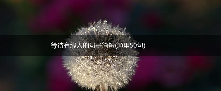 等待有缘人的句子简短(通用50句),第1张