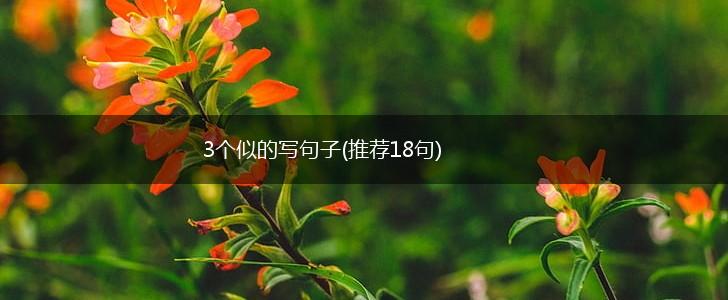 3个似的写句子(推荐18句),第1张
